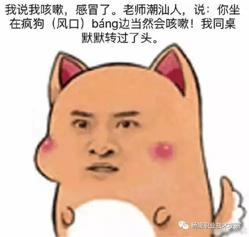 忒色十里不同ying音杨职一家qing亲