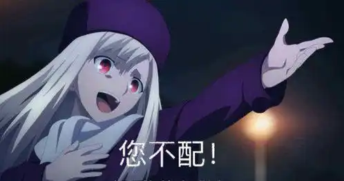 fgo沙雕图颜艺女神伊莉雅,hf剧场版您配吗表情包专场