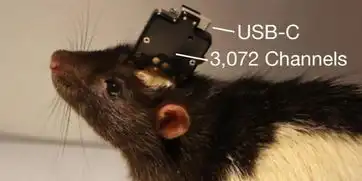 马斯克一作neuralink脑机接口细节公布,特殊材料防大脑损伤,专用芯片助技术落地