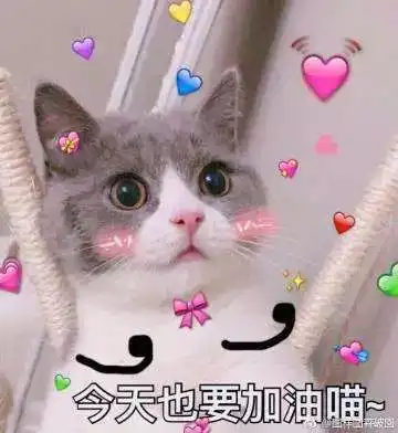 竞赛预热全国大学生英语竞赛a类必备指南