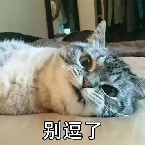 影视剧中那些笑到岔气的迷惑剧情,确定不是来搞笑的吗