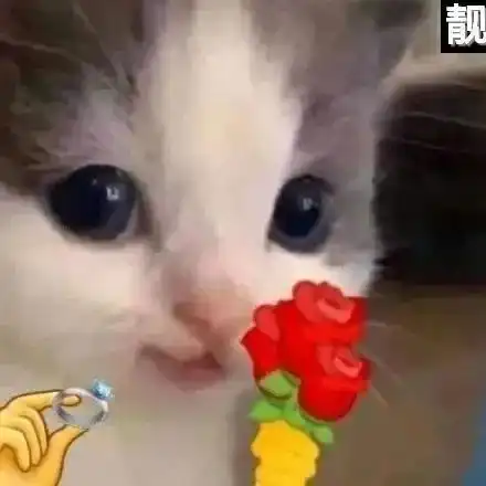 奇怪,扑克怎么麻里麻气的用打牌的方式打麻将哈哈哈