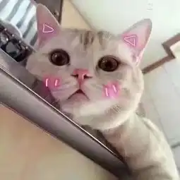 你有哪些有趣的撩或被撩的经历