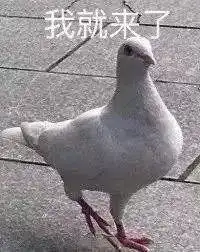 你们对象都是怎么找的