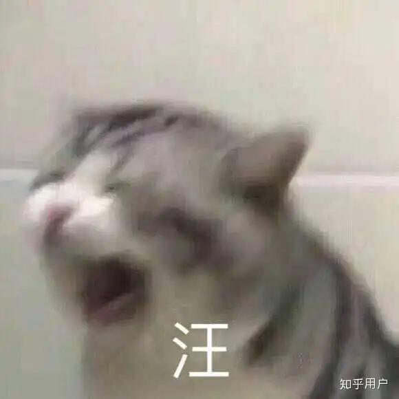 你用过的最沙雕的表情包是什么