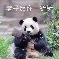 超可爱的熊猫表情包