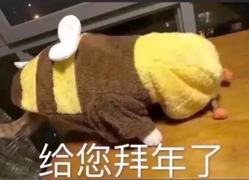 15一张收一些花花卡