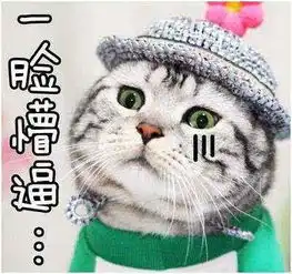 主人在洗菜池给猫咪洗澡,猫咪一脸懵逼