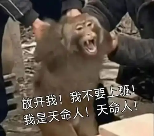 黑神话悟空表情包来了快快收藏