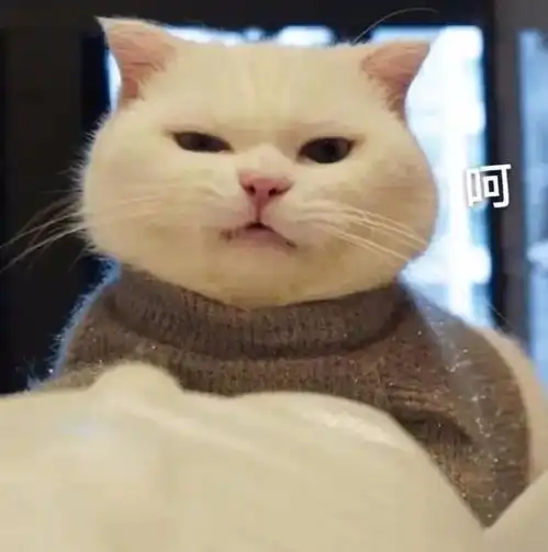 表情包你怎么这么厉害