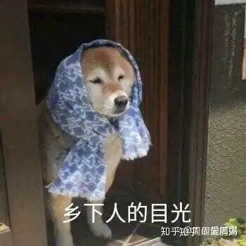 我是男生每天头皮屑特别多,感觉就是头发特别油,但是头发还是干枯的,求推荐一款适合我的洗发水