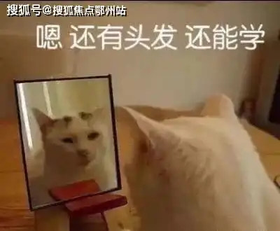 宜兴名豪佳园售楼处电话售楼处地址