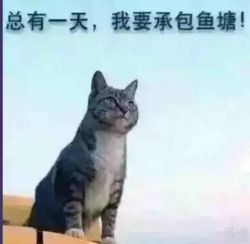 希望星期一不要高开,给点机会