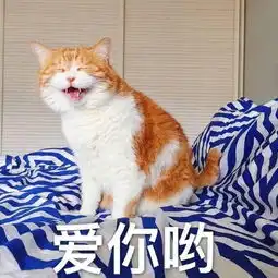 女孩捡到疑被人丢弃瘦土狗,半年后养好,朋友们直呼赚大