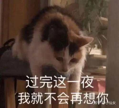 沙雕表情包l爱你,好了挂了