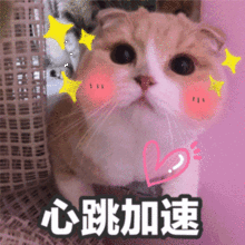 社团文化艺术节西校区篮球场我们不见不散