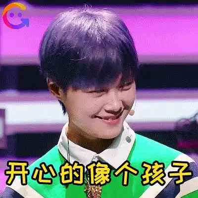 lee的表情包动图