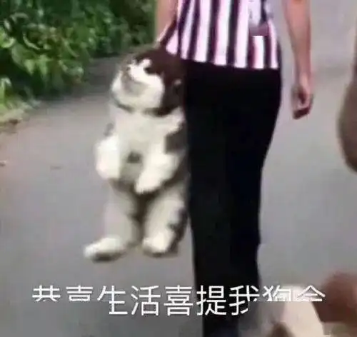 别吃了,你的咖啡和巧克力里都有蟑螂