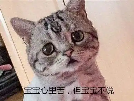 扎心黑猫警长都有孩子了,你却连对象都没有
