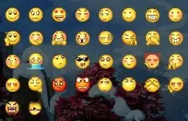 谁有这套,恶搞小黄脸表情包