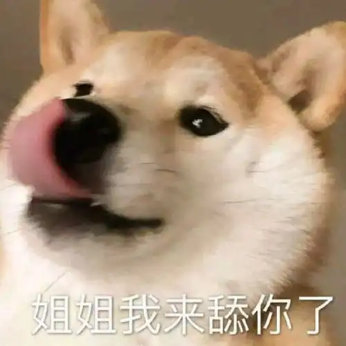 为什么某些t都拼了命当女人的舔狗只为证明自己比男人强是觉得自己天生欠女的吗