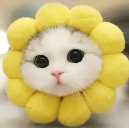 完成目标制定,从此人生有方向