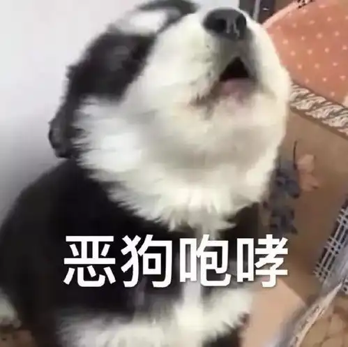 搞笑段子我查看男朋友的手机,发现自己就是小三