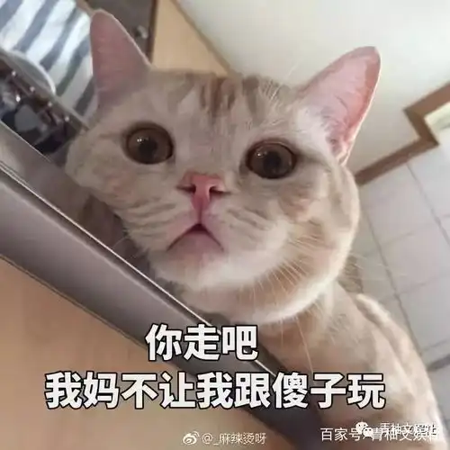 李菲儿陪黄晓明三年,却被黄晓明无情抛弃,今天终于知道原因了