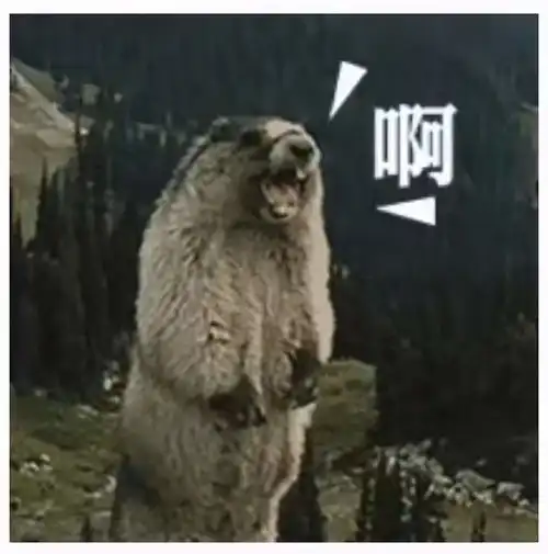 1400万起步,无房不符合,就别想着买润四了附最全攻略