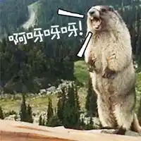 土拨鼠啊表情包