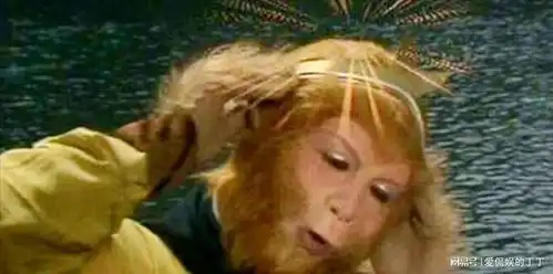 再读西游记才懂为何孙悟空划生死簿时,唯独漏掉了4只猴子