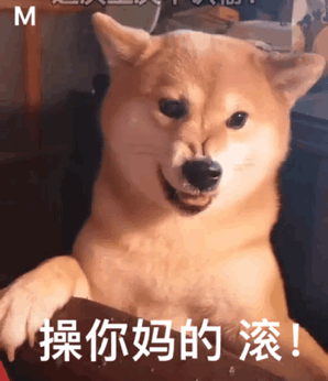 萌萌狗子动图表情包