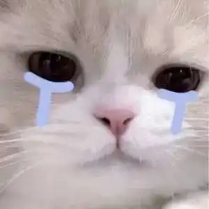 打屁股打进医院家长可长点心吧