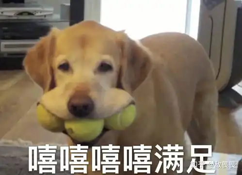 姐弟相差11岁,姐姐始终无法爱自己的弟弟,这种心态不对吗还是大家年龄差大的姐姐都是这样的