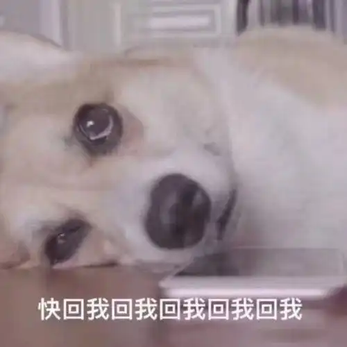 30岁不结婚是变态年轻的一代正在实施自杀式单身