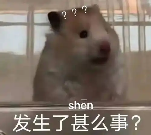 去有风的地方正在热播,网友天仙的颜值,也没抗得住山东话