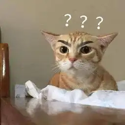 发表情表情包大全微信表情包qq表情包fabiaoqing.com