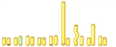 小黄脸变形表情包