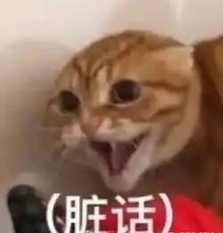 你的减压攻略请查收