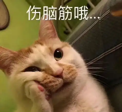猫咪缺乏维生素竟会有这么可怕的后果