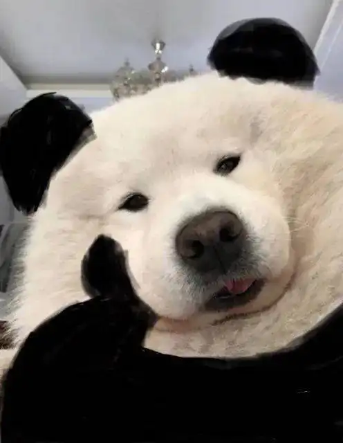 广大一学生求网课求来惊喜大奖出圈竟是因为liber