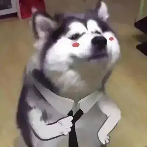 励志文案没有什么值得你困顿一生