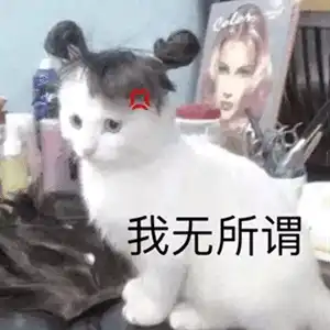 卖萌表情包不要难过,和小猫咪抱抱