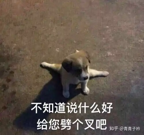 哈哈哈,先来一组有趣的