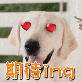 王俊凯易烊千玺张艺兴福建请来了大半个娱乐圈要搞大事好星运啊