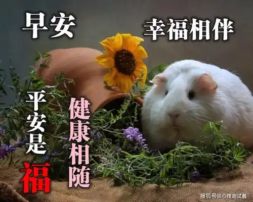 8张非常漂亮的早安动态表情鲜花图片免打字就可以聊天的早上好动画表情图片