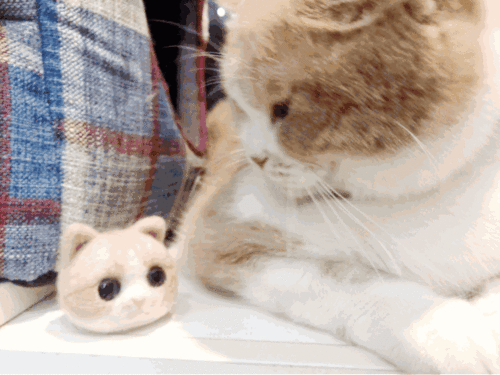 朋友圈表情包配图大全微信朋友圈表情包图片动图汇总