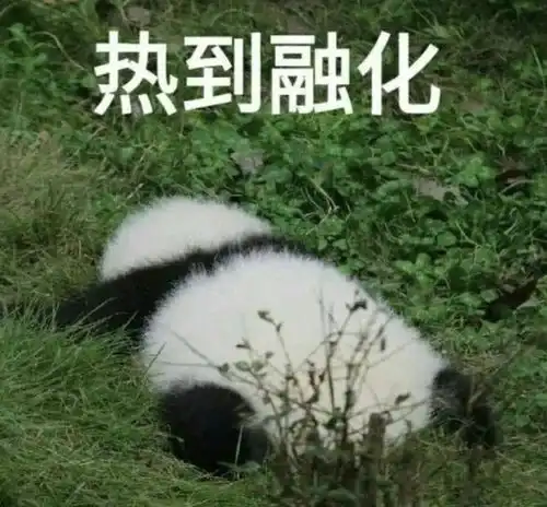 热热热上海再发高温橙色预警,今年入伏后会更热吗