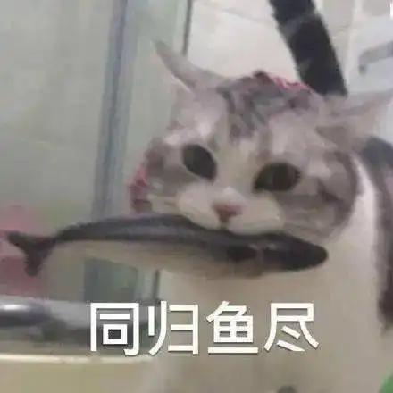 厦门男子持刀抢劫滴滴司机,扬言同归于尽结果