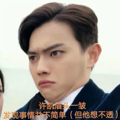 追星女孩的沙雕表情包合集2